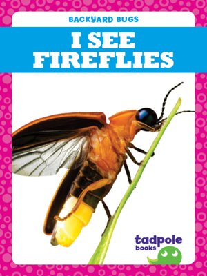 cover image of I See Fireflies